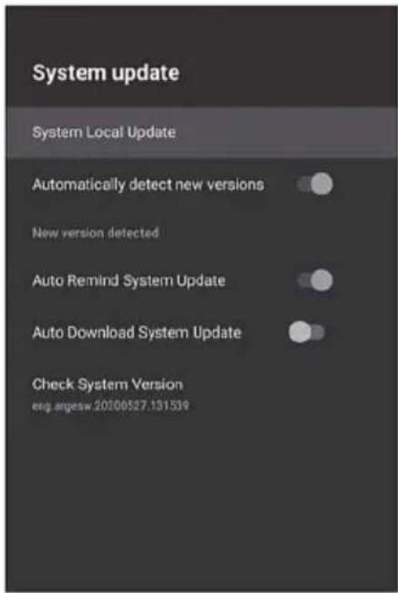 System update System Local Update Automatically detect new versions New version detected Auto Remind System Update Auto Download System Update Check System Version esg.angesw.20200527.131539