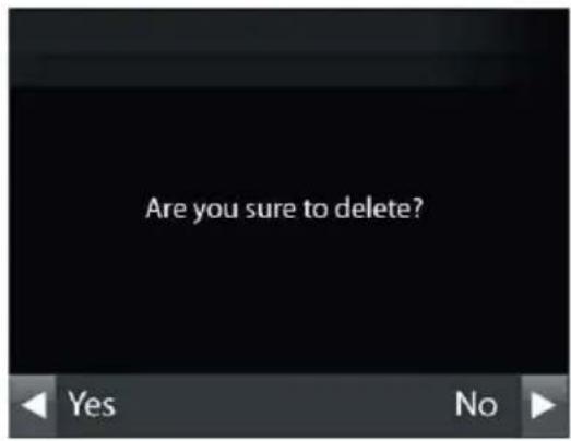 Are you sure to delete?