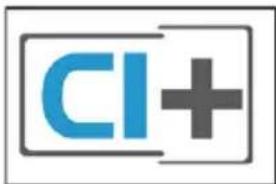 CI+