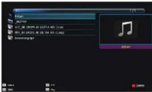 Vivax TV-32S61T2 - MUSIC (MUZIKË-AUDIO) - 1