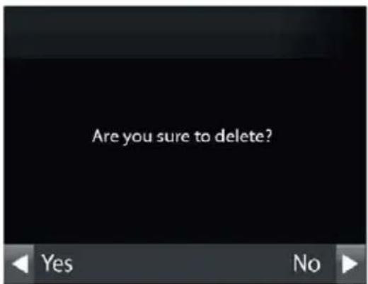 Are you sure to delete?
