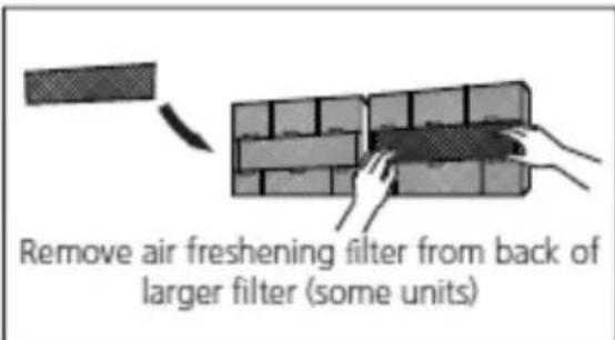 Remove air freshening filter from back of larger filter (some units)