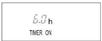8.0 h TIMER ON