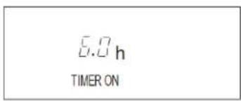 5.0 h TIMER ON