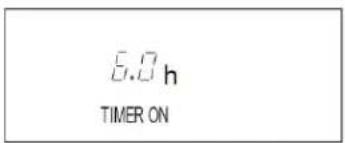 6.0 h TIMER ON