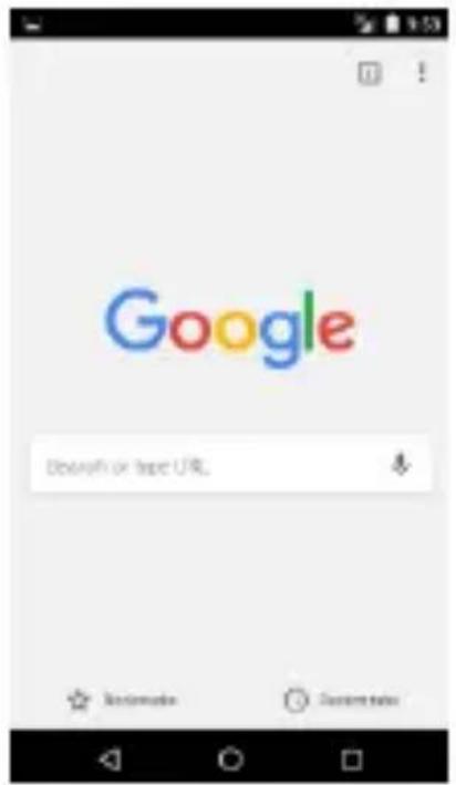 Google Search or http URL