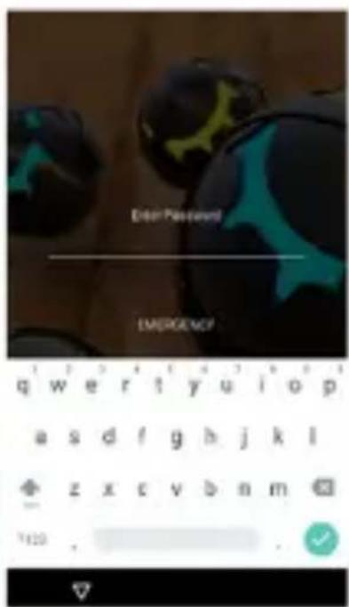 Enter Password EMERGENCY q w e r t y u i o p a s d f g h j k l z x c v b n m 1120 .
