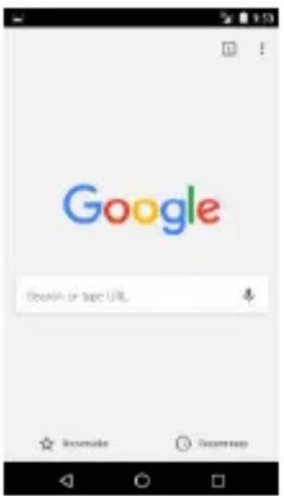 Google Search or tape URL.