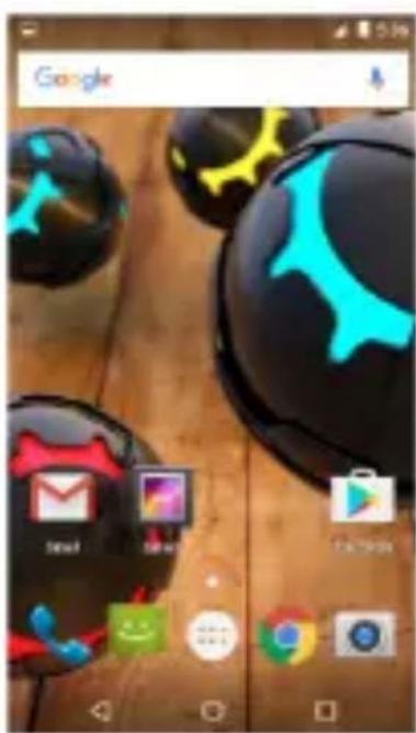 Google Email Twitter