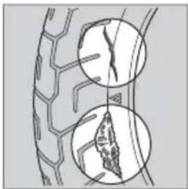 Honda CRF300L (2013) - Inspecting for Damage - 1
