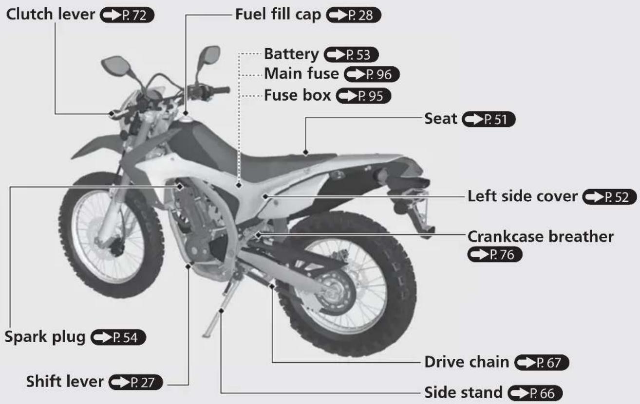Honda CRF300L (2013) - WARNING - 2