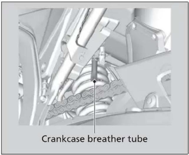 Honda CRF300L (2013) - Cleaning the Crankcase Breather - 1