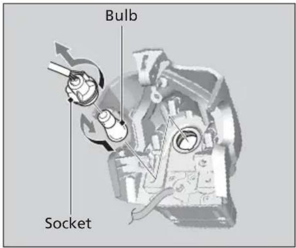 Honda CRF300L (2013) - Brake/Tail Light Bulb - 3