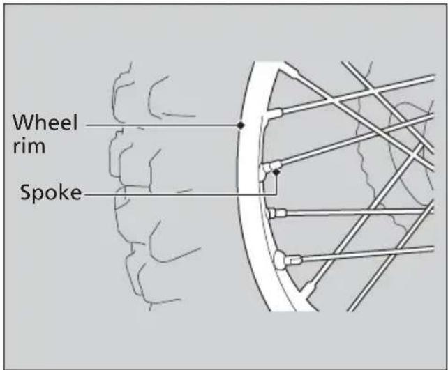 Honda CRF300L (2013) - Wheels Rims & Spokes - 1