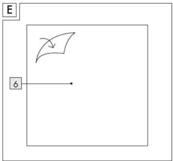 E 6