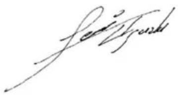 POWERFIX IAN 104019 - Translation of the original Conformity Declaration - 1