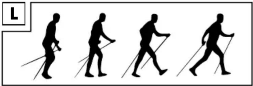 CRIVIT IAN 326845 - Nordic-Walking-Technik - 1
