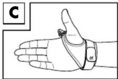 CRIVIT IAN 326845 - Putting on the hand loops - 1