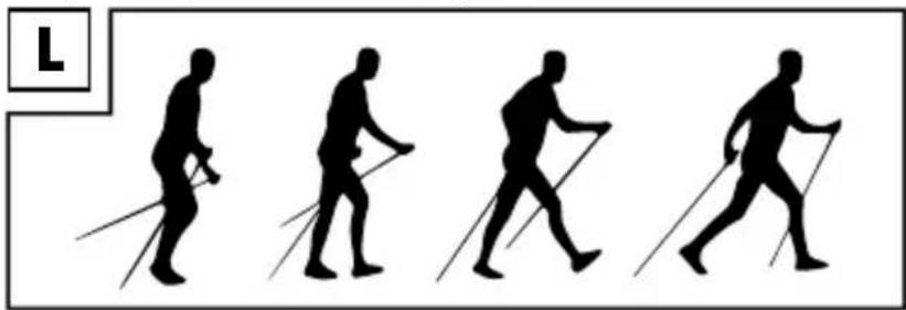 CRIVIT IAN 326845 - Nordic walking technique - 1