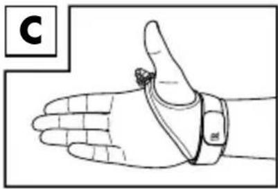 CRIVIT IAN 326845 - Anlegen der Handschlaufe - 1