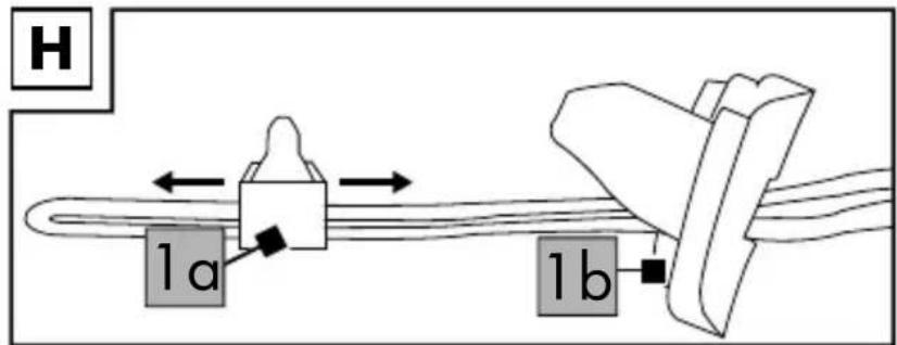 H 1a 1b