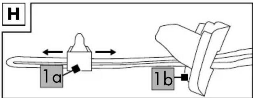 H 1a 1b
