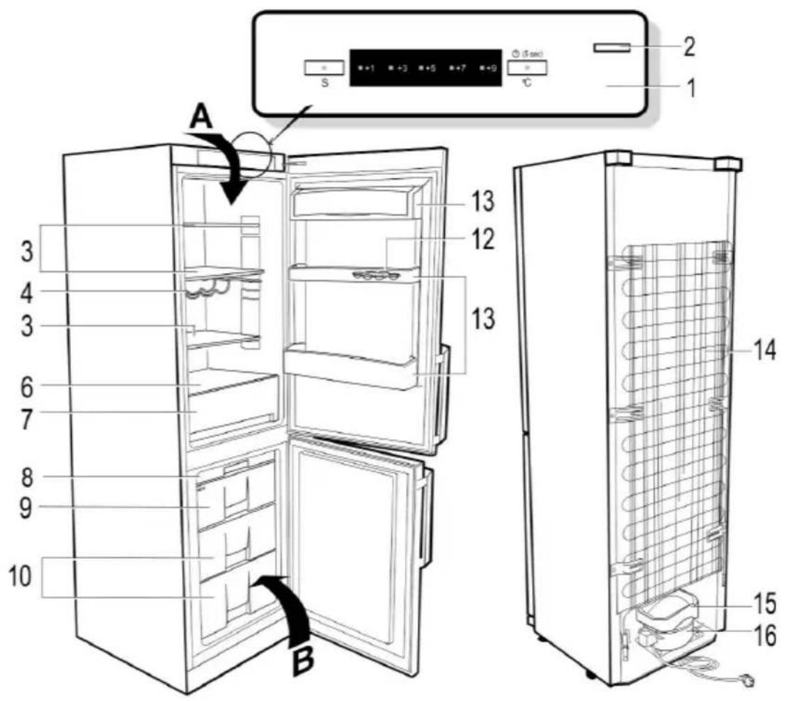 Snaigė Fresh INN RF57SG-P5CB2F0 - RF57SG, RF53SG - 1