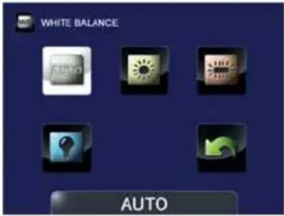 TOSHIBA Camileo AIR 10 - White Balance - 5