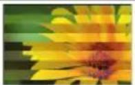 LG 70LY390C - 观看 3D 影像 - 7
