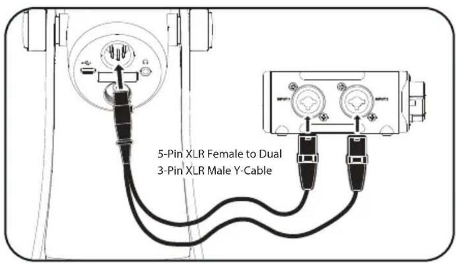 BOYA BY-PM700 PRO - Using the XLR analog output - 1