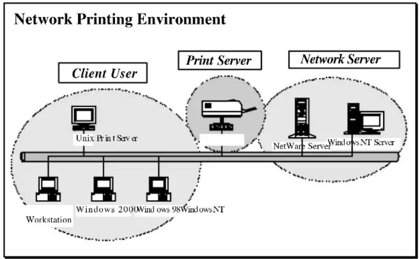 Edimax PS-1206P - Network Printing Architecture - 1