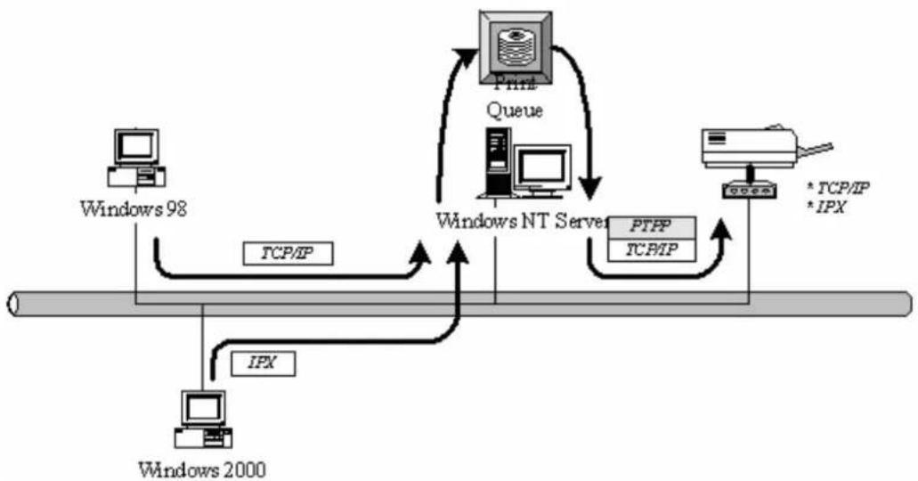Edimax PS-1206P - Network Printing Environment - 2