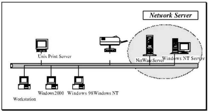 Edimax PS-1206P - Network Printing Functions for Network Server - 1