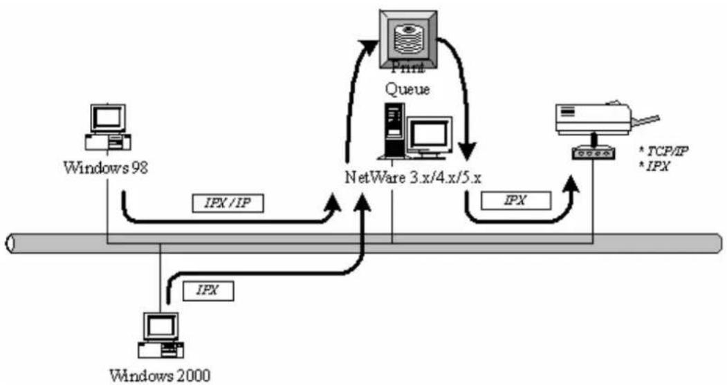 Edimax PS-1206P - Network Printing Environment - 3