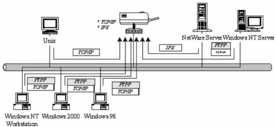 Edimax PS-1206P - Network Printing Environment - 1
