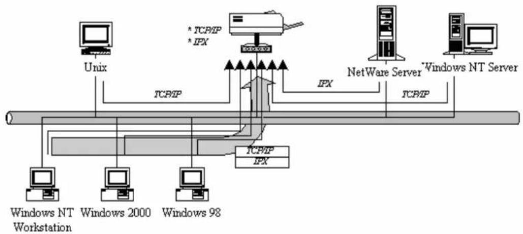 Edimax PS-1206P - Network Printing Architecture - 2