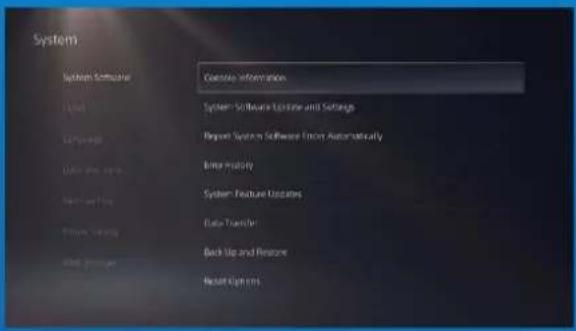 System System Software Create Information Local System Software License and Settings Language Report System Software from Automatically Data Bus Tools Enter History System Feature Updates Data Transfer Back Up and Resize Insert Options