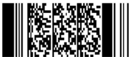 Newland FM3080 Hind - Create a Batch Barcode - 1