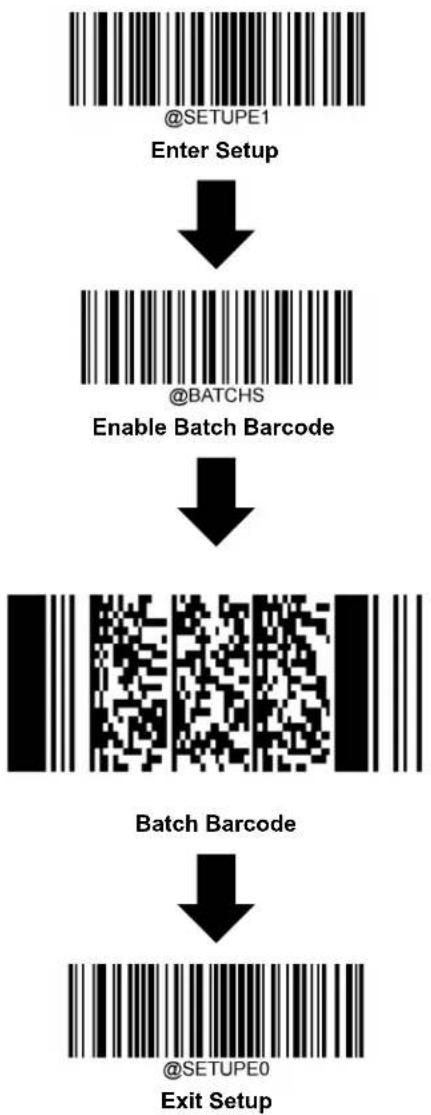 Newland FM3080 Hind - Use Batch Barcode - 1