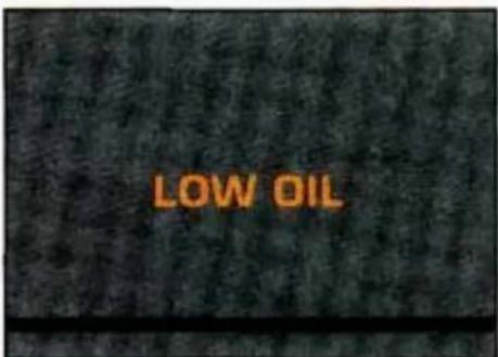 CHEVROLET Camaro (1993) - Check Gages Light - 1