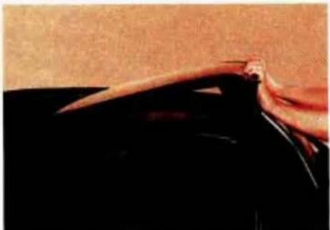 CHEVROLET Camaro (1993) - T-Top Sunshades - 1