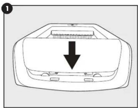 PETSAFE ScoopFree PAL00-16806 - Litter Box Setup - 1