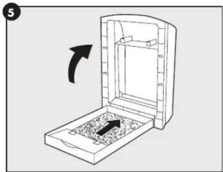 PETSAFE ScoopFree PAL00-16806 - Litter Box Setup - 6