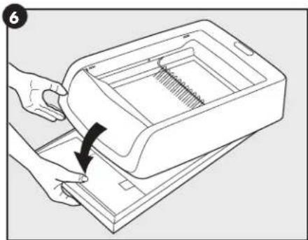 PETSAFE ScoopFree PAL00-16806 - Litter Box Setup - 4
