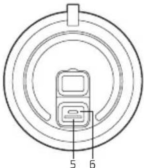 NGS Roller Creek - IMPORTANT! - 2