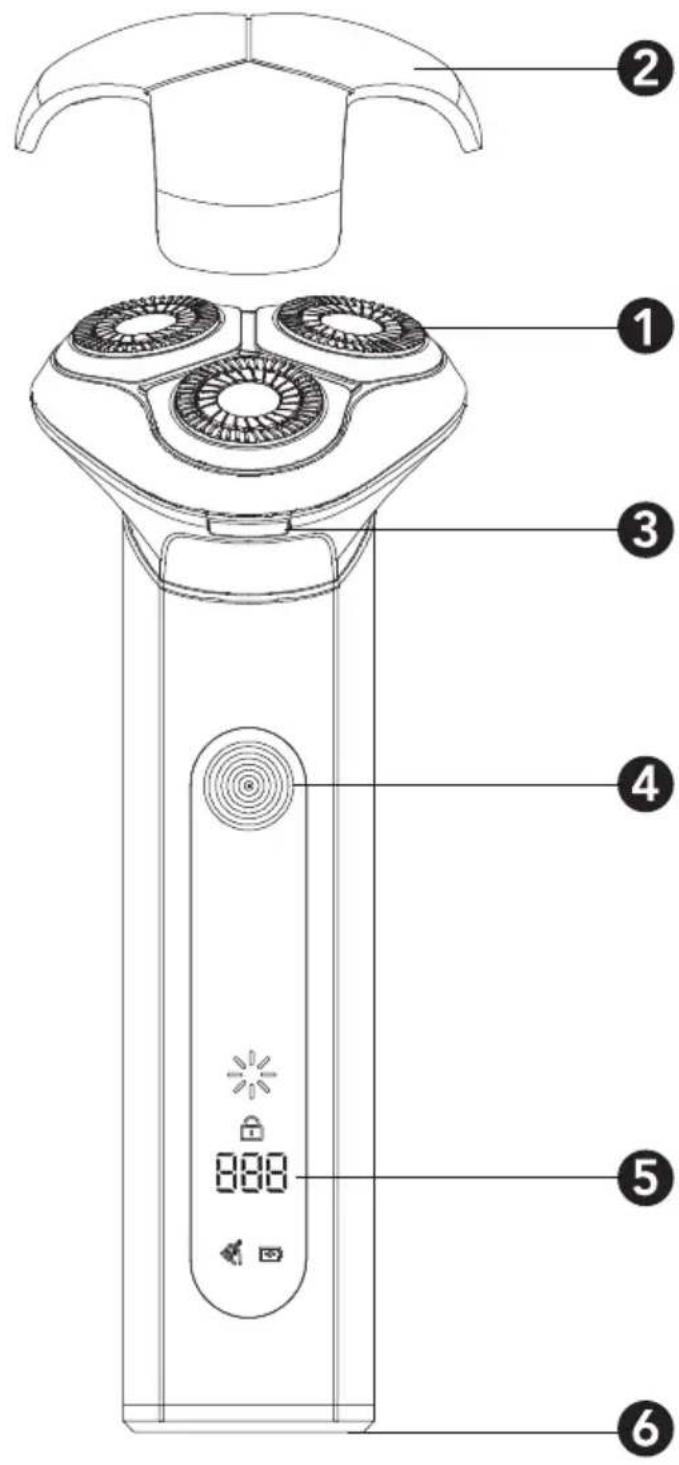 Diagram of a digital hairbrush with labeled parts including top, front, back, and interior views