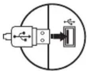 Natec Alfama - CONTINUT - 2