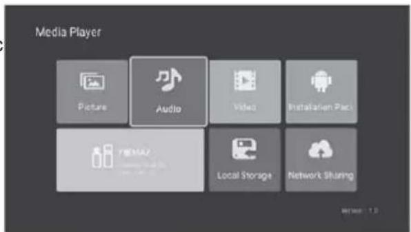 Media Player Picture Audio Video Installation Pack REMA2 Local Storage Network Sharing