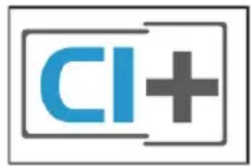 CI+