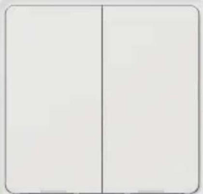 TESLA Smart Switch Dual Battery - Dodajte napravo (Zigbee) - 1